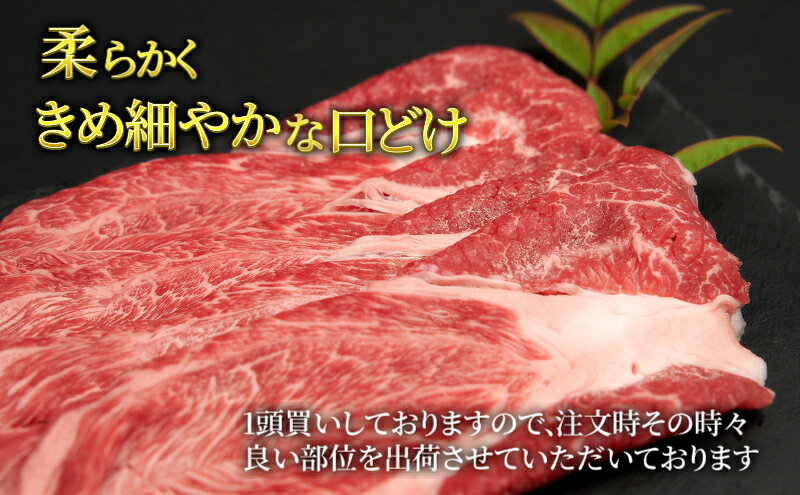 サンプル画像3