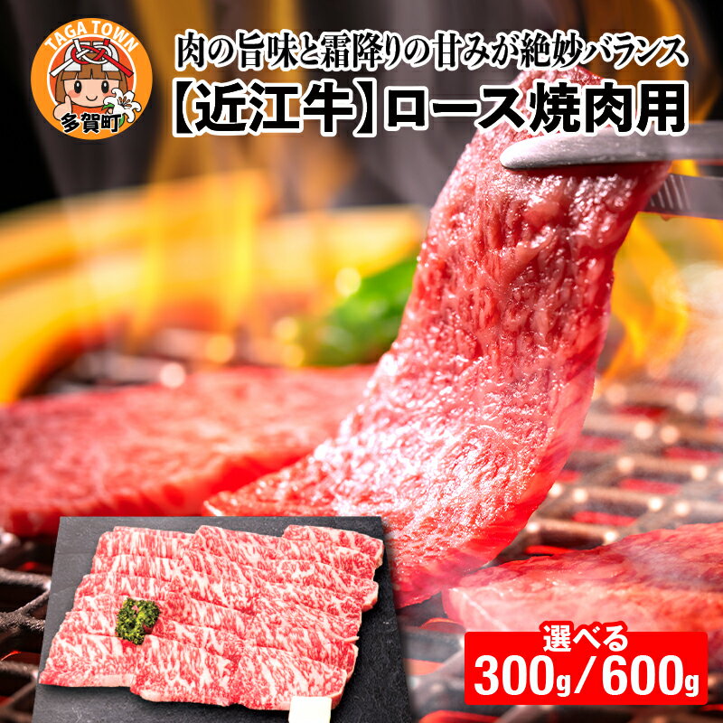 [日本三大和牛]近江牛ロース焼肉用 選べる容量(300g/600g)[B-01201] [D-01207] / 国産 ブランド牛 和牛 最高級 赤身 霜降り お肉 ロース お取り寄せ お取り寄せグルメ やきにく 焼肉 薄切り 牛肉 ギフト 贈り物 お中元 お歳暮 滋賀県 多賀町 送料無料