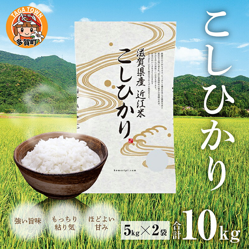 [令和5年産]こしひかり10kg(5kg × 2袋) BG無洗米 [B-00402] / 滋賀県産 多賀町 コシヒカリ 米 お米 白米 ご飯 精米 袋 国産 送料無料