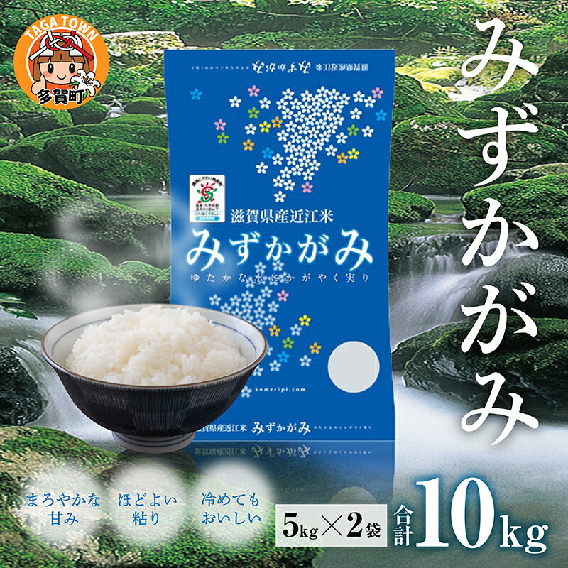 [令和5年産]みずかがみ 10kg(5kg × 2袋) BG無洗米 [B-00403] / 滋賀県産 多賀町 米 お米 白米 ご飯 精米 袋 国産 無洗米 送料無料