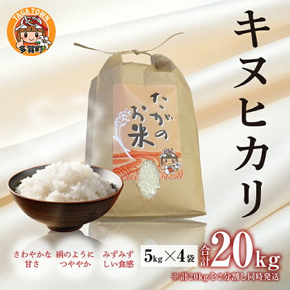 【令和5年産】キヌヒカリ20kg（5kg × 4袋） おいしい多賀のお米 [C-00401] / 滋賀県産 多賀町 米 お米 白米 ご飯 精米 袋 国産 送料無料