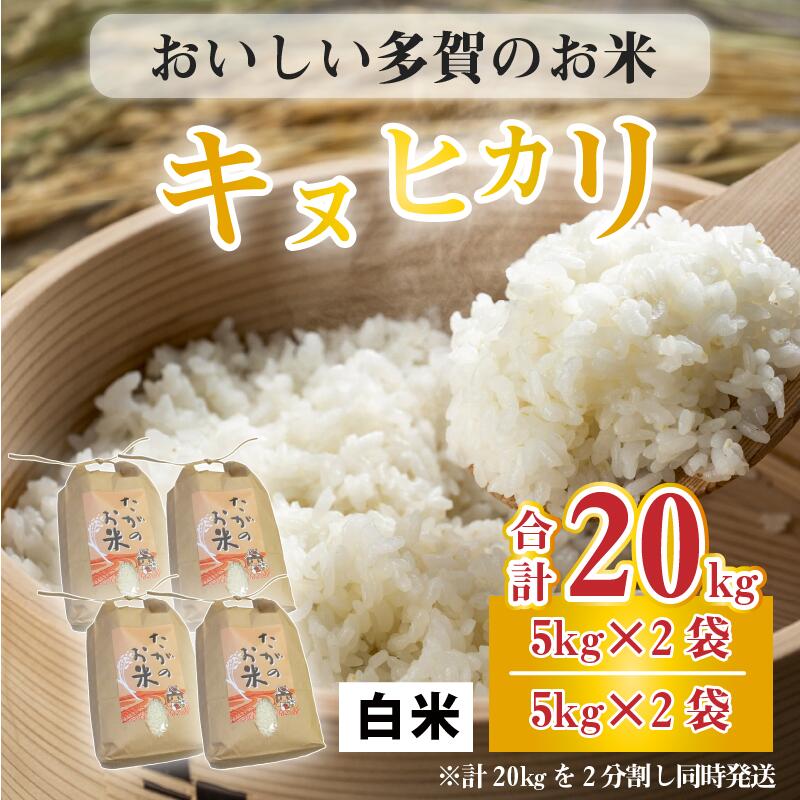 【ふるさと納税】【令和5年産】キヌヒカリ20kg（5kg × 4袋） おいしい多賀のお米 [C-00401] / 滋賀県産 多賀町 米 お米 白米 ご飯 精米 袋 国産 送料無料