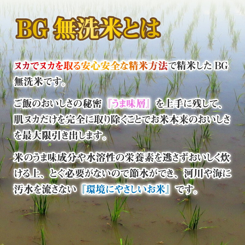 【ふるさと納税】【令和4年産 新米】定期便5回 / こしひかり計50kg（10kg × 5回）/ 2ヶ月に1度定期配送 / BG無洗米 [F-00401]