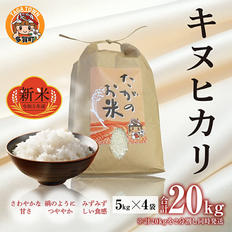 【ふるさと納税】【先行予約】【令和5年産】キヌヒカリ20kg（5kg × 4袋） おいしい多賀のお米【2023年9月下旬より発送予定】 [C-00402] / 滋賀県産 多賀町 新米 米 お米 白米 ご飯 精米 袋 国産 送料無料