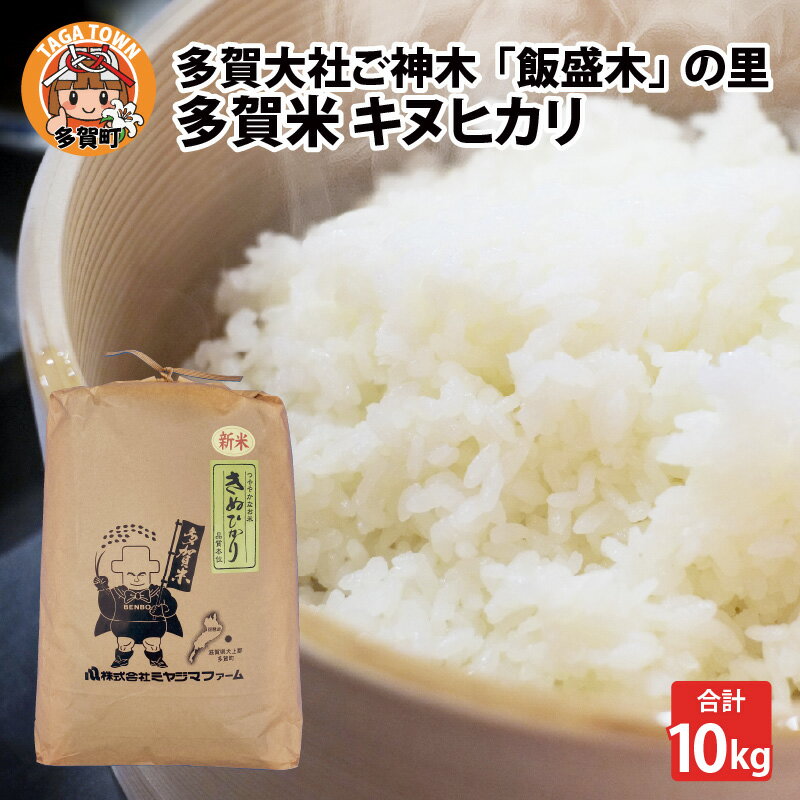 【ふるさと納税】【先行予約】多賀大社ご神木「飯盛木（いもろぎ）」の里で育てた多賀米 キヌヒカリ 10kg【令和6年産】【2024年9月下旬より発送】[B-02001] / 滋賀県産 多賀町 米 お米 白米 ご飯 精米 袋 国産 送料無料