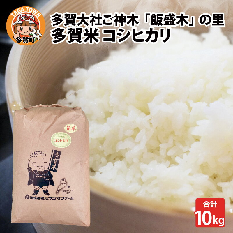 【先行予約】多賀大社ご神木「飯盛木（いもろぎ）」の里で育てた多賀米 コシヒカリ 10kg【令和6年産】【2024年9月下旬より発送】[B-02002] / 滋賀県産 多賀町 米 お米 白米 ご飯 精米 袋 国産 送料無料