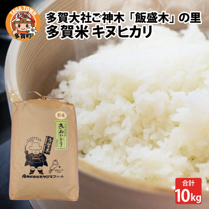 【ふるさと納税】【先行予約】多賀大社ご神木「飯盛木（いもろぎ）」の里で育てた多賀米 ...