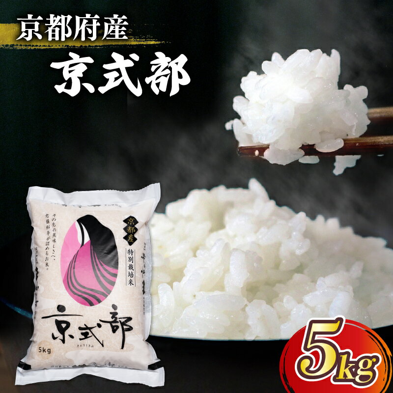 【 令和5年産 】 京都府産 米 京式部 5kg 5キロ 令和5年産 米 白米 精米 こめ おこめ ブランド米 10000円 一万円 京都府