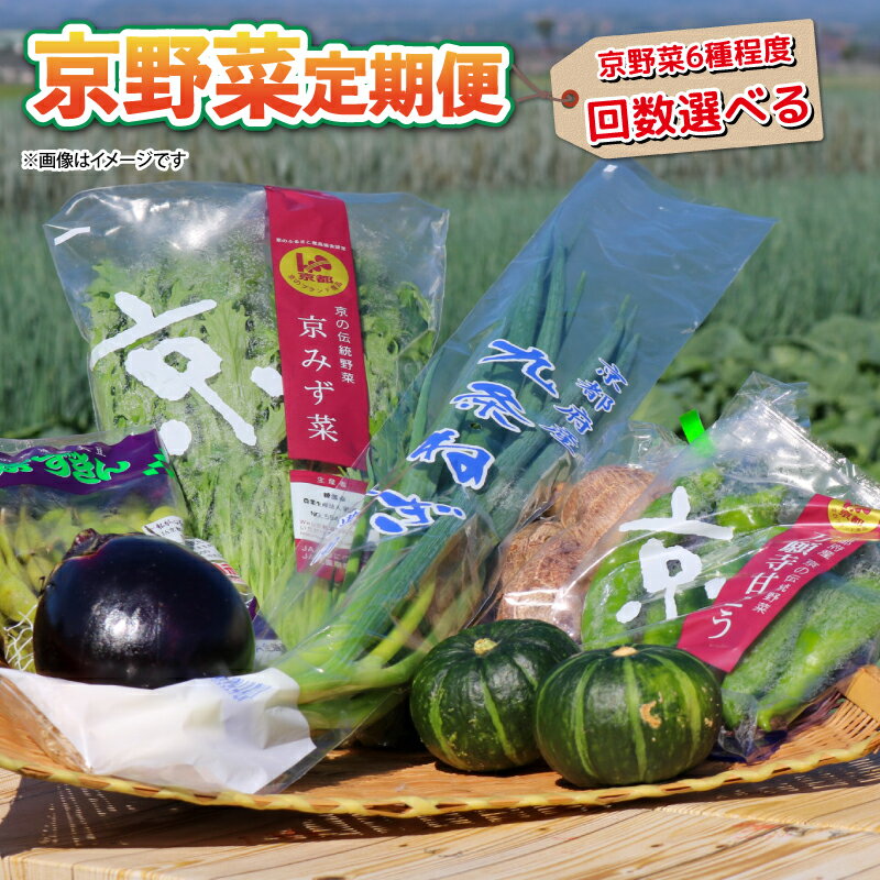 【ふるさと納税】 【 選べる 定期便 】 京野菜 野菜 6種