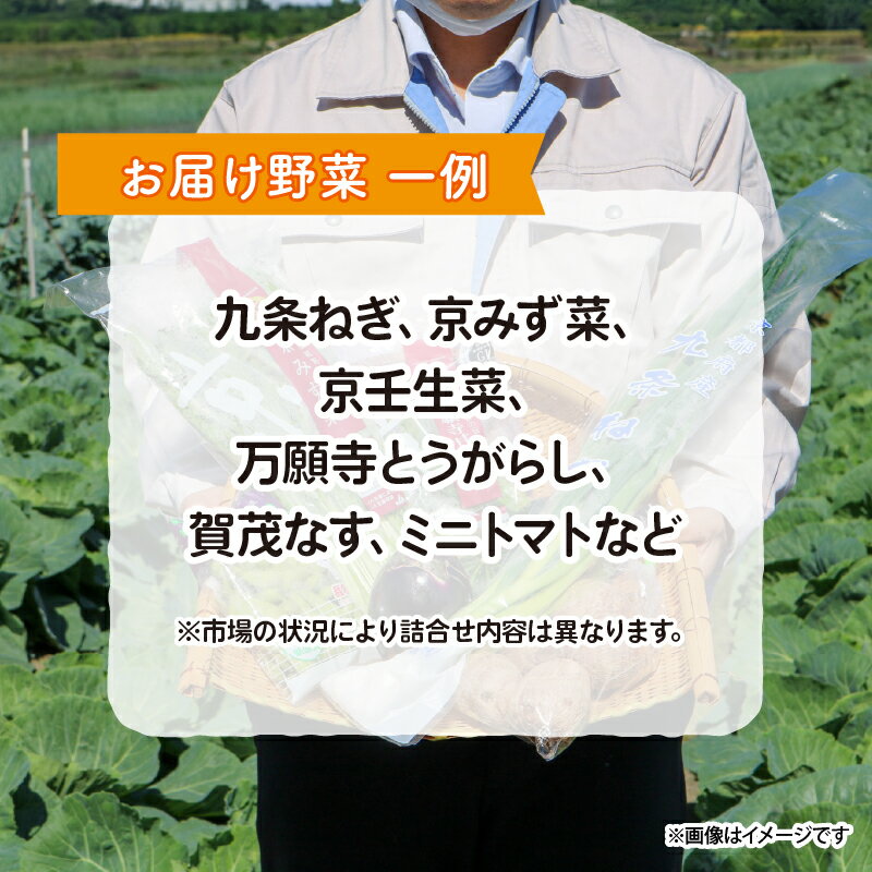 【ふるさと納税】 【 選べる 定期便 】 京野菜 野菜 6種 程度 定期便 2回 4回 6回 野菜 詰め合わせ 野菜 京都 野菜セット 季節 旬 栄養食 栄養野菜 九条ネギ 野菜 万願寺 野菜 賀茂なす 野菜 京都府産 野菜 数量限定 野菜 冷蔵 サラダ 健康 ( ふるさと納税 ランキング )