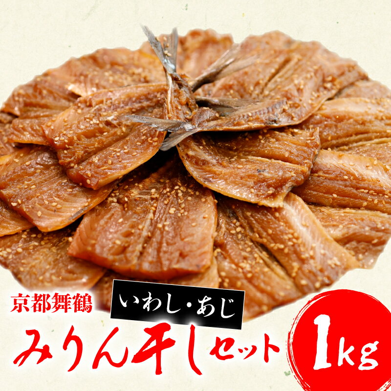 干物 いわし あじ みりん干し セット 鰯 鯵 ひもの 詰め合わせ 500g ずつ 合計 1kg 1キロ 10000円 魚類 一万円 京都府 舞鶴