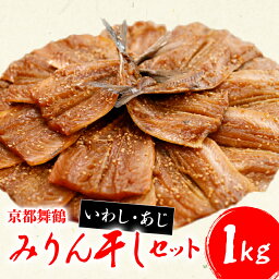 【ふるさと納税】 干物 いわし あじ みりん干し セット 鰯 鯵 ひもの 詰め合わせ 500g ずつ 合計 1kg 1キロ 10000円 魚類 一万円 京都府 舞鶴