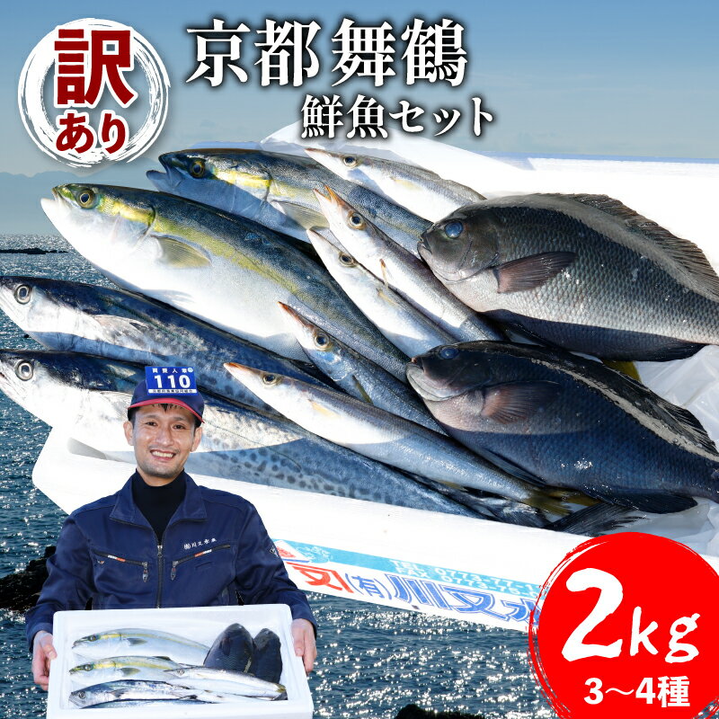 訳あり 鮮魚 詰め合わせ セット 3～4種 約2kg 2キロ 旬 厳選 朝 獲れ 鮮度 抜群 冷蔵 送料無料 あじ サバ ススキ つばす 鯵 鯖 鰯 サゴシ グレ 鯛 カマス 赤カレイ いわし レンコダイ トビウオ