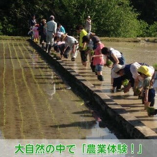 【ふるさと納税】 【農業体験（1名様）】無農薬野菜のプロフェッショナルと一緒に、楽しく充実のひと...