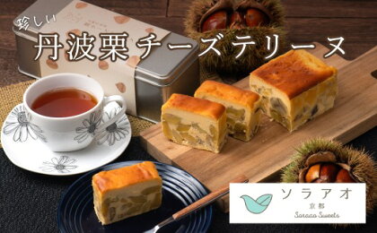 【25年1月上旬～下旬発送】丹波栗 チーズテリーヌ マロン和栗 お菓子 スイーツ ケーキ テリーヌ 贈答 プレゼント 冷凍 京都府 綾部 soraao