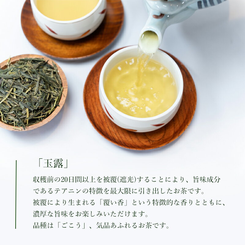 【ふるさと納税】 綾部茶ギフトセット 「 綾 」 6種 セット 日本茶 緑茶 お茶 煎茶 玉露 ほうじ茶 抹茶 低カフェイン 綾部産 茶葉 飲み比べ 詰め合わせ 手軽 簡単 京都 箱入り