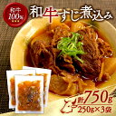 【ふるさと納税】 和牛すじ煮込み 750g(250g×3袋)和牛 すじ煮込み 冷凍 小分け 肉 牛 牛肉 ごはんのお供 個包装 ふるさと納税 おかず 煮物 牛筋 牛すじ 木津川市 京都