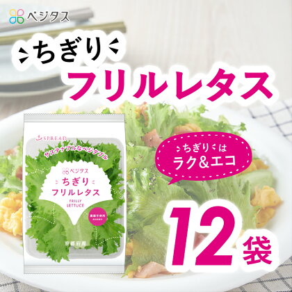 ベジタス ちぎり フリル レタス 12個入り 詰め合わせ 水耕栽培 新鮮 野菜 葉野菜 葉物野菜 サラダ やさい