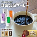 【ふるさと納税】 【粉】自家焙煎コーヒー 産地・焙煎別( 浅煎り 中煎り 中深煎り 深煎り )中山珈琲焙煎所 自家焙煎 コーヒー 300g(各100g × 3袋) 焙煎 産地 別 コーヒー豆 粉 珈琲 飲み比べ ハウスブレンド オールドファッション エチオピア ブラジル