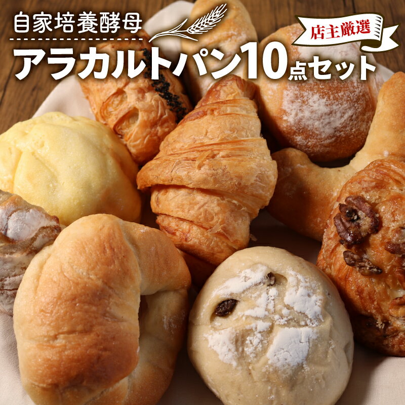 【ふるさと納税】 自家培養酵母 アラカルトパン 10点 セット ( パン 惣菜パン 冷凍パン 無添加 天然酵母 冷凍 詰め合わせ 小麦 朝食 朝ごはん お取り寄せ 食べ比べ 京都 国産 )のサムネイル