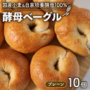 【ふるさと納税】 酵母ベーグル 10個 プレーン 国産小麦&自家培養酵母 100% パン 個包装 惣菜パン 冷凍パン ベーグル 天然酵母 冷凍 詰め合わせ 小麦 朝食 朝ごはん お取り寄せ 食べ比べ 京都 国産 プレーンベーグル トースト サンドイッチ 酵母 ランチ