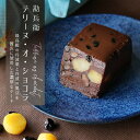 【ふるさと納税】 勘兵衛 テリーヌ・オ・ショコラ ケーキ チョコレート 丹波栗 丹波黒豆 贈答 プレゼント 数量限定 ケーキ 贈答 高級 京都 舞鶴 おやつ お...