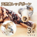 【ふるさと納税】 愛犬用 天然鹿 レッグボーン 3本 セット ( 鹿肉 ジャーキー おやつ おもちゃ ペット ドッグフード ペットフード 餌 エサ 犬 鹿 肉 ...