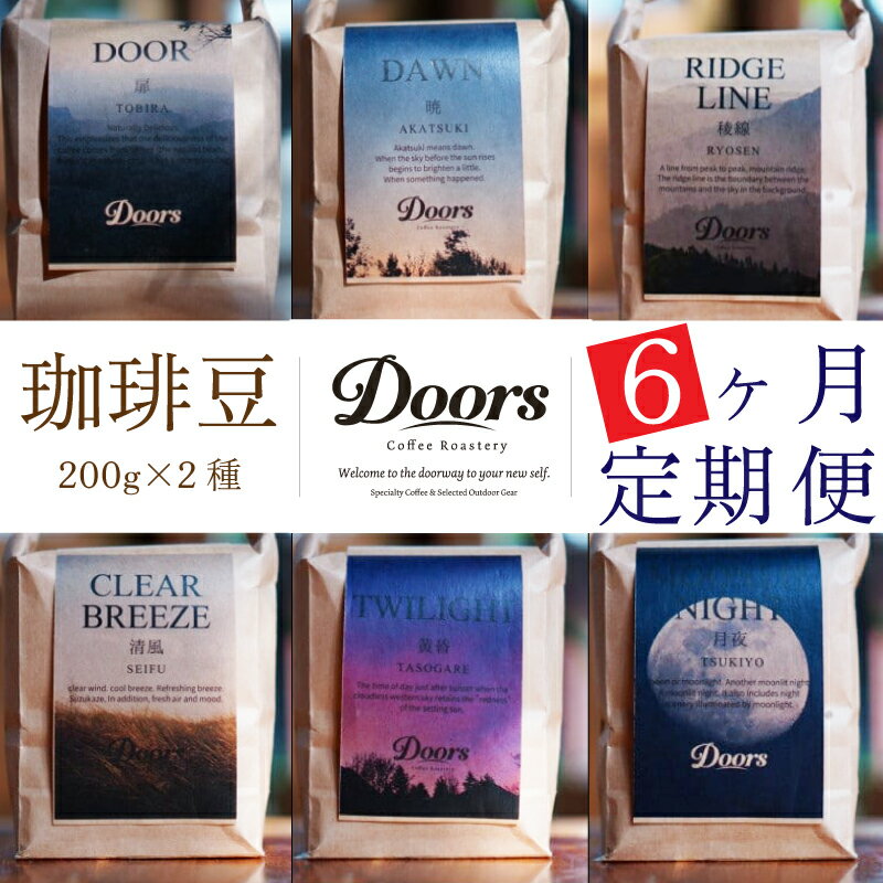 定期便 全6回 スペシャルティ コーヒー 豆 6ヶ月 ブレンド シングル 珈琲 自家焙煎 京都 笠置町