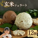 【ふるさと納税】 玄米ジェラート12個 アイス 宇治茶 抹茶 ほうじ茶 いちご クランベリー 菓子 グルテンフリー スイーツ ビーガン ヴィーガン ココナッツミ...