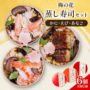 【ふるさと納税】 蒸し寿司セット 6個(各種2個) かに えび あなご ( 蟹 海老 穴子 寿司 すし 蒸し寿司 たまご 湯葉 佃煮 セット 詰め合わせ 食べ比...