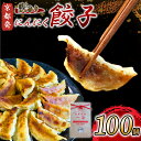 【ふるさと納税】 にんにく 餃子 100個 訳あり 冷凍 ぎょうざ ギョウザ ギョーザ 豚肉 便利 簡単調理 惣菜 絶品 おかず お子様 家族 豚肉餃子 こだわ...