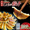 【ふるさと納税】 しょうが 餃子 100個 訳あり 冷凍 ぎょうざ ギョウザ ギョーザ しょうが 生姜 豚肉 便利 簡単調理 惣菜 絶品 おかず お子様 家族 ...