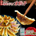 【ふるさと納税】 丹波とりしそ京餃子 100個 訳あり 冷凍 ぎょうざ ギョウザ ギョーザ 便利 簡単調理 惣菜 絶品 おかず お子様 家族 こだわり餃子 餃子...