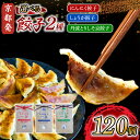 【ふるさと納税】 選べる 餃子 2種詰め合わせセット 120個 (にんにく餃子 / しょうが餃子 / 丹波とりしそ京餃子) 冷凍 ぎょうざ ギョーザ 生姜 豚肉...