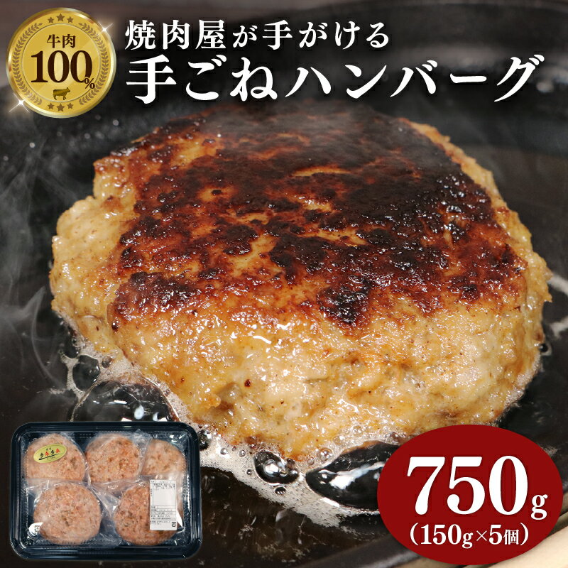 【ふるさと納税】 牛肉 ハンバーグ 150g 5個 750g 小分け 真空包装 自家製 手ごね 多来多来 冷凍 京都