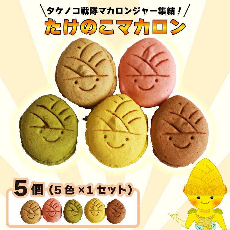 タケノコ戦隊マカロンジャー 5色 1箱 化粧箱入り デザート スイーツ 焼き菓子 マカロン たけのこ タケノコ たけのこマカロン ご当地 京都 長岡京 長岡京市