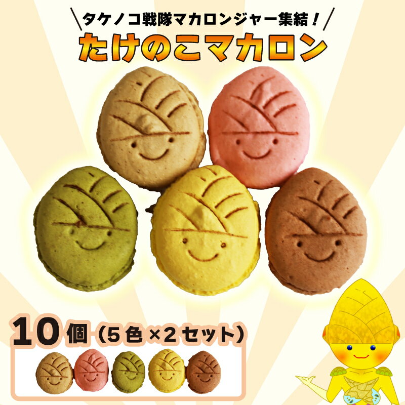 タケノコ戦隊マカロンジャー マカロン 5色 2箱 化粧箱入り デザート スイーツ 焼き菓子 たけのこ タケノコ たけのこマカロン ご当地 京都 長岡京 長岡京市