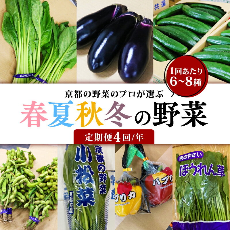 【ふるさと納税】 定期便 4回 京都 野菜 6~8種 年4回 旬 京野菜 春 夏 秋 冬 なす とうもろこし トマト ねぎ ごぼう 水菜 鍋 サラダ おかず 京都府 人気 おまかせ 詰め合わせ セット 京印京都南部青果 市場