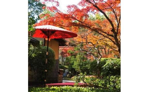 【ふるさと納税】 市立松花堂庭園・美術館のペアチケット ( 松花堂 観光 体験 チケット 庭園 美術館 鑑賞 旅行 )