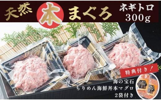 天然 本まぐろ ネギトロ セット ネギトロ 300g 海の宝石 ちりめん 海鮮丼 本マグロ 2袋 まぐろ マグロ 海鮮 特典付き プロトン冷凍 解凍レシピ付 ちりめん海鮮丼 新鮮