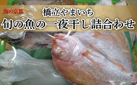  旬の魚 一夜干し 詰合わせ ギフト ( 4‐5種)  桜干 鯖 サバ 期間限定 季節限定 魚 干物 冷凍 海の幸 贈答 プレゼント 贈り物 京都 海の京都