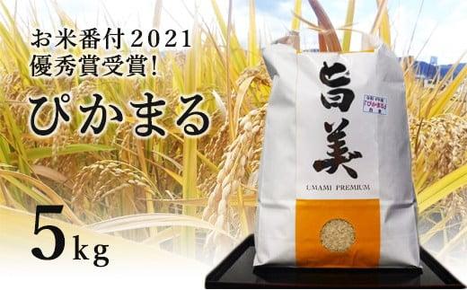 【「お米番付2021」優秀賞受賞】 米 ぴかまる 5Kg 五十棲