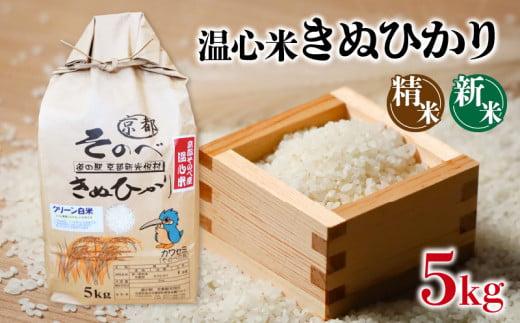 令和5年 産 キヌヒカリ 精米 5kg 温心米 きぬひかり 京都 南丹