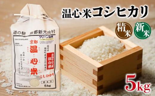 令和5年 産 コシヒカリ 精米 5kg 温心米 こしひかり 京都 南丹