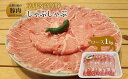 【ふるさと納税】 京丹波高原豚 ロース しゃぶしゃぶ 1kg 豚 肉 豚ロース 焼肉 国産 ブランド 豚肉 冷凍