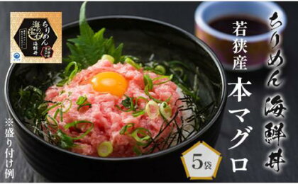 海の宝石 ちりめん 海鮮丼 40g×5袋 若狭産 本マグロ 魚 海鮮 どんぶり 夕食 料理 小分け 冷凍