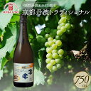 【ふるさと納税】 京都丹波 トラディショナル(Traditional) 瓶内二次発酵 750ml 1本 スパークリングワイン 白ワイン 丹波ワイン 丹波産 ぶど...