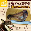 【ふるさと納税】 鹿ドライ肩甲骨 選べるサイズ S(17~19cm)、M(20~22cm)、L(23cm以上) ペット用品 ペットグッズ ペットフード ドッグフード 無添加 肩甲骨 ボーン 歯 健康 国産 犬のおやつ ストレス解消 ジビエ 鹿 鹿肉 ペット用品 犬用 ご褒美 おやつ 京都府 京丹波町