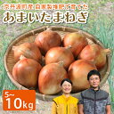 【ふるさと納税】 玉ねぎ 選べる 5kg 10kg 甘みたっぷり 甘い たまねぎ 国産 京都府 京丹波町産 有機肥料 化学農薬不使用 化学肥料不使用 スープ 野...