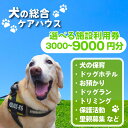【ふるさと納税】 犬専用総合ケアハウス 選べる 施設利用券 3000円分 ~ 9000円分 ( 愛犬 ケア ドッグホテル ドッグラン ドッグカフェ トリミング ペット 犬 いぬ 犬専用 宿泊 ホテル チケット ケアサービス チャリティ 保護活動 京都府 京都 京丹波町 老犬ホームあん )|詳細画像
